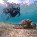 Snorkeling 07