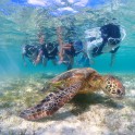 Snorkeling 08