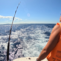 繝√Ε繝ｼ繧ｿ繝ｼ繝輔ｚ繝ｩ繝ｳ逕ｻ蜒・繝医Ο繝ｼ繝ｪ繝ｳ繧ｯ繧・6fishing