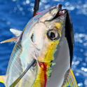 繝√Ε繝ｼ繧ｿ繝ｼ繝輔ｚ繝ｩ繝ｳ逕ｻ蜒・繝医Ο繝ｼ繝ｪ繝ｳ繧ｯ繧・3fishing