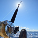 繝√Ε繝ｼ繧ｿ繝ｼ繝輔ｚ繝ｩ繝ｳ逕ｻ蜒・繝医Ο繝ｼ繝ｪ繝ｳ繧ｯ繧・2fishing