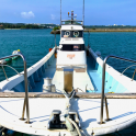 繝√Ε繝ｼ繧ｿ繝ｼ繝輔ｚ繝ｩ繝ｳ逕ｻ蜒・繝医Ο繝ｼ繝ｪ繝ｳ繧ｯ繧・7fishing