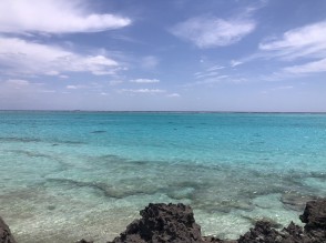 S__41607185_0