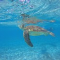 DCIM100GOPROGOPR4637.