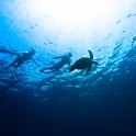 DCIM102GOPROGOPR4121.JPG