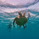 DCIM102GOPROGOPR3786.JPG