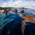 DCIM111GOPROGOPR4516.JPG