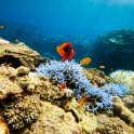 DCIM111GOPROGOPR4406.JPG