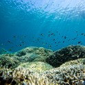DCIM111GOPROGOPR4690.JPG