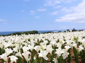 IMG_0449s