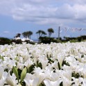 IMG_0475