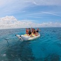 IMG_20250703_103625_009.jpg