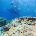 IMG_20250703_113029_165.jpg