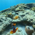 IMG_20250703_154907_302.jpg