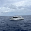S__12476429_0