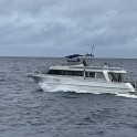 S__12476432_0