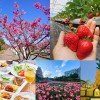 2024-2025☆年末年始おすすめイベントツアー☆