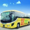 毎年恒例！★4月～5月一大イベント★100万輪のユリが咲き誇る「2025伊江島ゆり祭り」日帰りツアー予約開始！