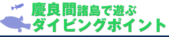 慶良間諸島で遊ぶダイビングポイント