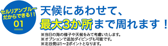 天候にあわせて、最大3箇所まで周れます。