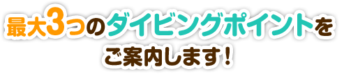 最大3つのダイビングポイントをご案内します！