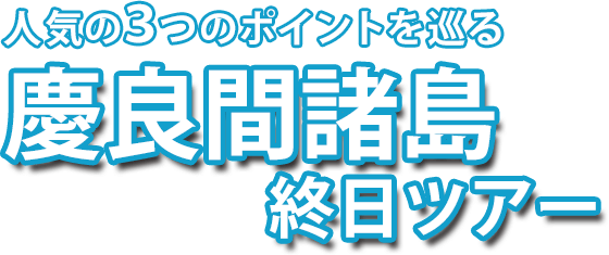 人気の3つのポイントを巡る慶良間諸島終日ツアー