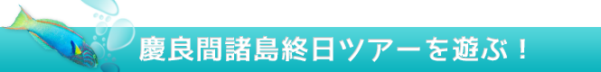 慶良間無人島海水浴ツアーを遊ぶ！